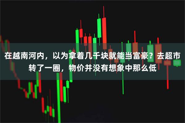 在越南河内，以为拿着几千块就能当富豪？去超市转了一圈，物价并没有想象中那么低