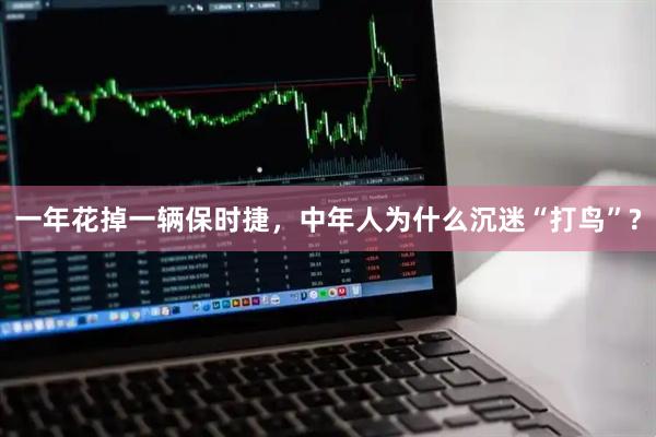 一年花掉一辆保时捷，中年人为什么沉迷“打鸟”?