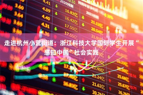 走进杭州小营街道：浙江科技大学国际学生开展“感知中国”社会实践