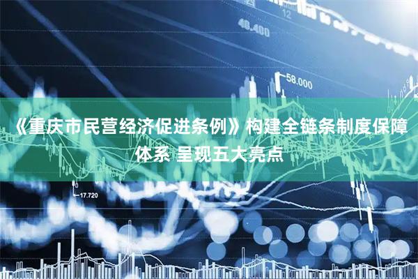 《重庆市民营经济促进条例》构建全链条制度保障体系 呈现五大亮点